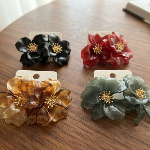 Earrings new