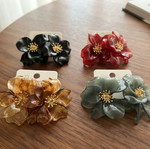 Earrings new