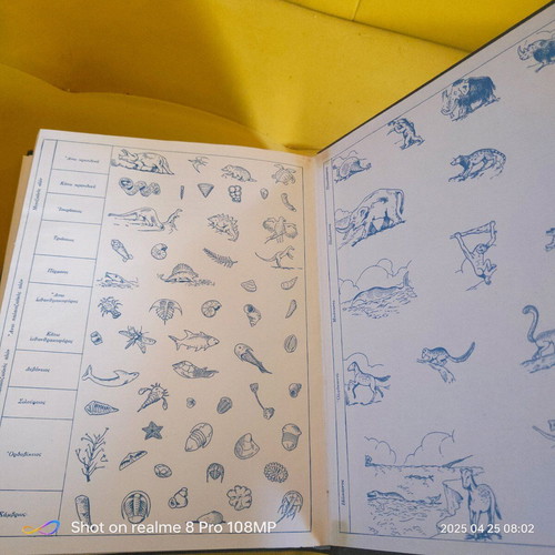 The Life of Animals used book