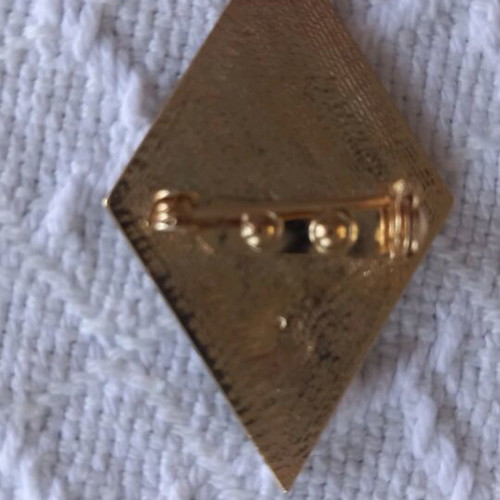 Railway professional pin KZ new