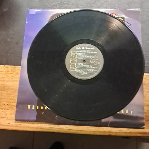 Rick Astley Vinyl Record used, excellent condition