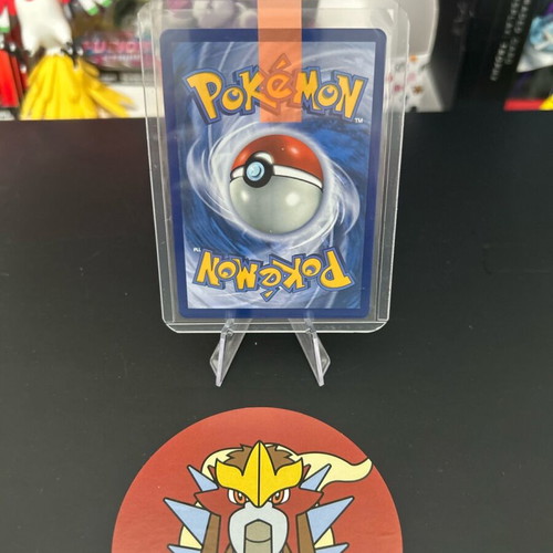 Mega Camerupt EX 022/132 Double Rare Holo Pokemon Card σαν καινούργιο