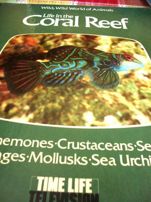 Wild, Wild World of Animals Life in the Coral Reef βιβλίο καινούργιο