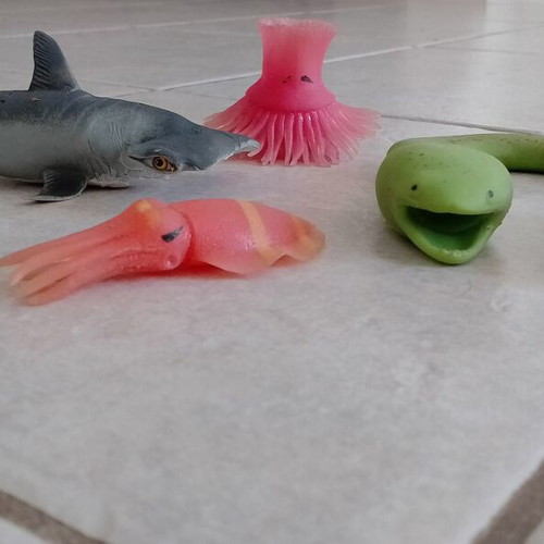 Rubber sea animal toys pack of 5 used