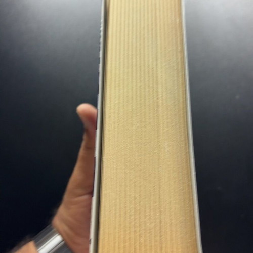 Jo Nesbø Nemesis book