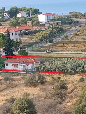 Μονοκατοικία 75 τ.μ. με 40 ελαιόδεντρα κοντά στη θάλασσα στο Παράλιο Άστρος