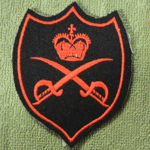 British Army Collectible Physical Training Instructor Badge new