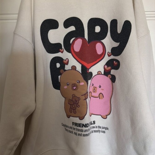 Zara Capybara sweatshirt used, multicolor, size 164 cm