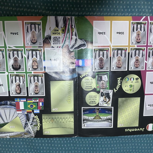 Panini Official Sticker Album 2021 used, partial completion