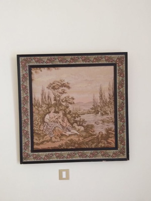 Tapestry painting used with wooden frame