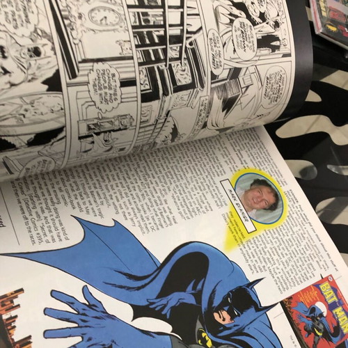 Back Issue Magazine 50 Batman in Bronze Age new