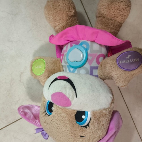 Phisher-Price Educational Plush Dog Used for Toddlers