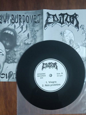 Editor / Pripad Ewi Burdovej Split 7" vinyl record used, punk