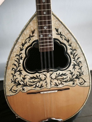 Tetrachordo Bouzouki with Case, Floor Stand & Full Accessory Set