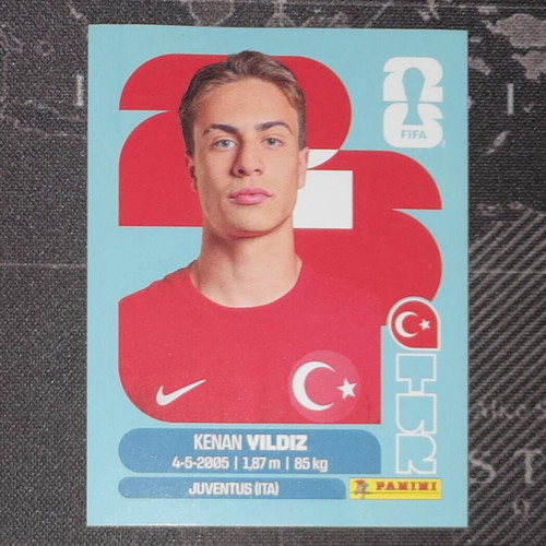 Panini Fifa World Cup 2026 Kenan Vildiz collectible sticker new