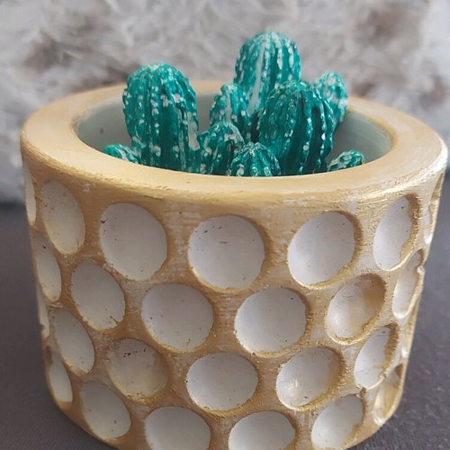 Decorative flowerpot with gypsum cacti new