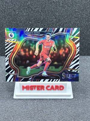 2023-24 Panini Select Premier League Darwin Nunez Zebra Jersey Number 202 Liverpool Card