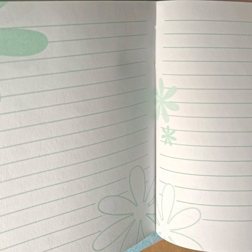 Children's diary like new with owl design