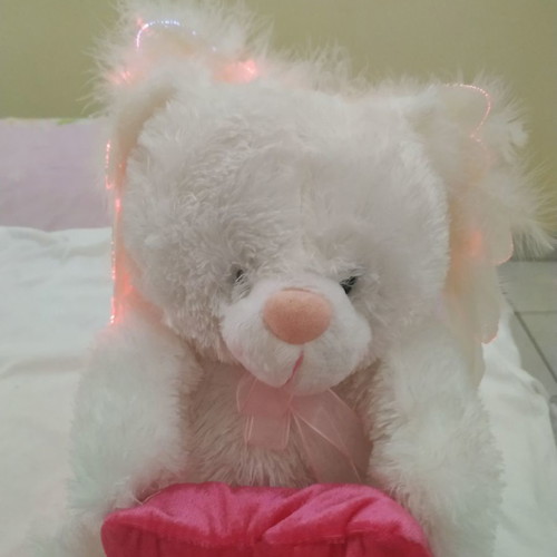 Plush bear used that changes colors and plays music