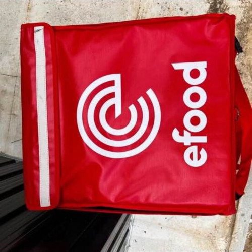 Efood delivery box and bag, new