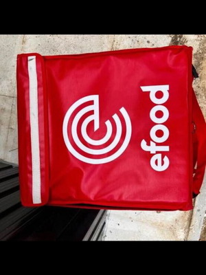 Efood delivery box and bag, new