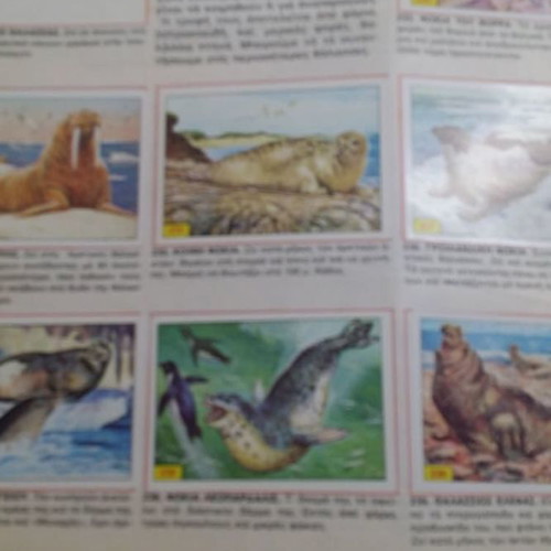 Mammals collectible album used Panini 1979 with stickers