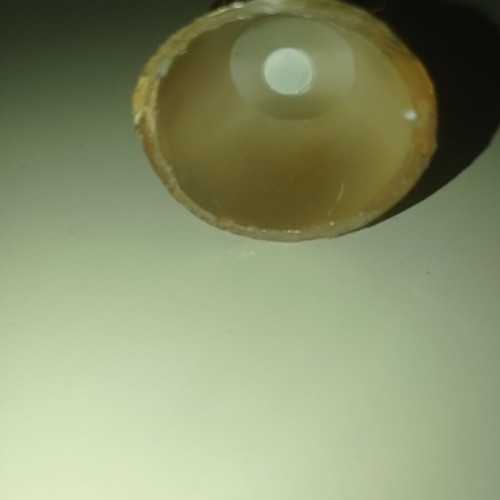 Φιγούρα Subbuteo Παγκόσμιο Κύπελλο χωρίς πράσινη βάση