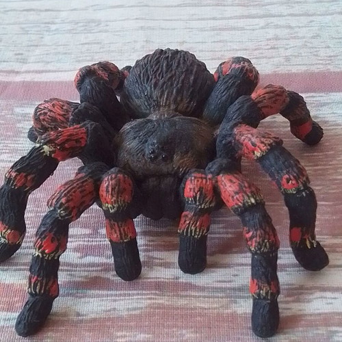 Spider tarantula animal figure used