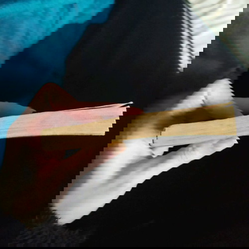 Υπόθεση της όμορφης ζητιάνας μεταχειρισμένο αστυνομικό μυθιστόρημα