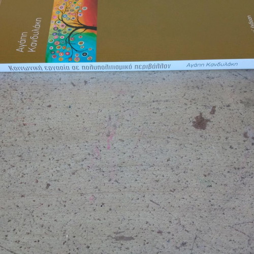 Social Work in Multicultural Environment new, 3rd Edition
