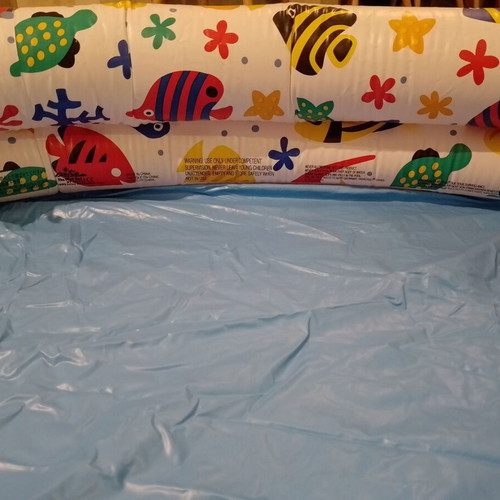 Inflatable children's pool with fish design used