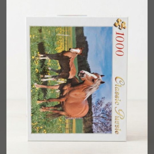 Puzzle 1000 pieces like new
