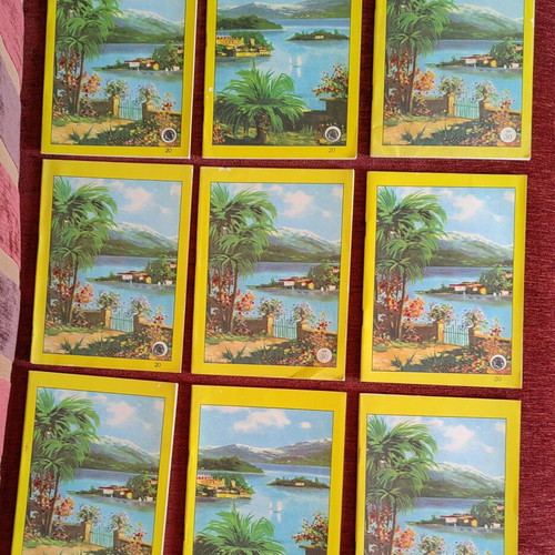 Vintage Phoenix notebooks, pack of 9