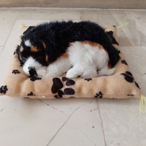 Realistic dog like new