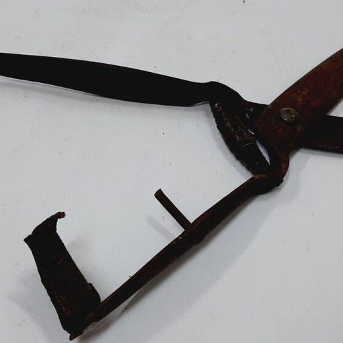 Antique hand sheep and goat shears used, metal construction