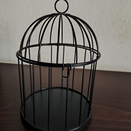 Decorative Candle Cage like new with plastic for 2 candles