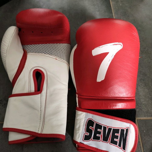 Boxing and MMA gloves like new with lifting straps