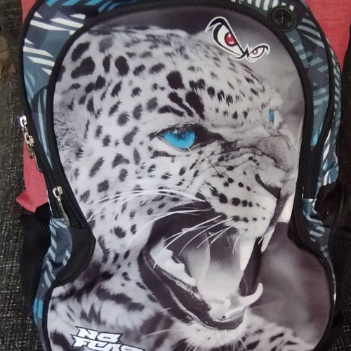 No Fear school or trip backpack used 30L 30x28x48 cm