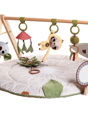 Tiny Love Boho Chic Luxe Gym Used Like New with All Accessories