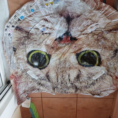 Cat-shaped beach mattress like new