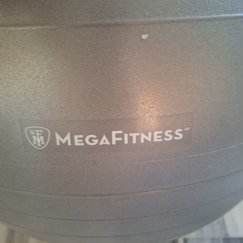 Large Exercise Ball like new