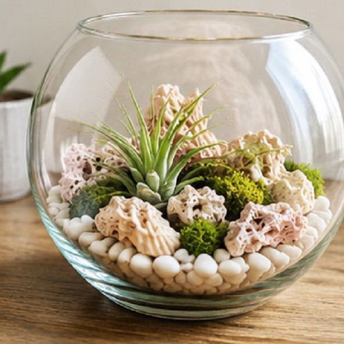 Natural Spaghetti Stone Set 15 Pieces New, Limestone for Aquariums