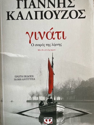 Ginatí The Wise of the Lake novel used