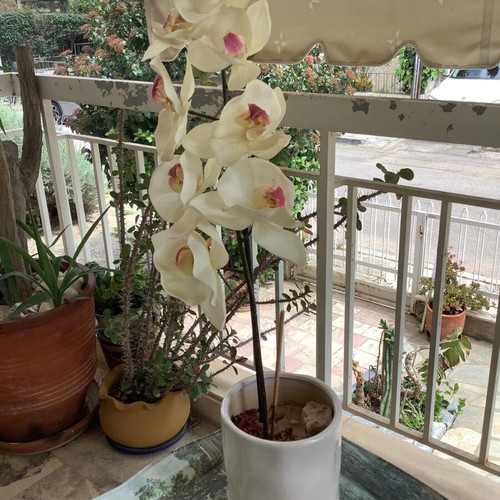 Decorative plastic orchid plant like new