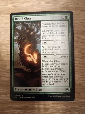 Druid Class MTG card mint condition
