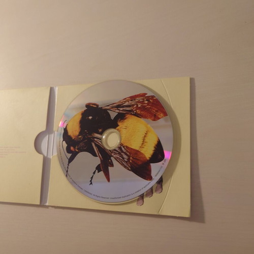 Tyler the Creator Flower Boy CD, alternative cover, hip-hop