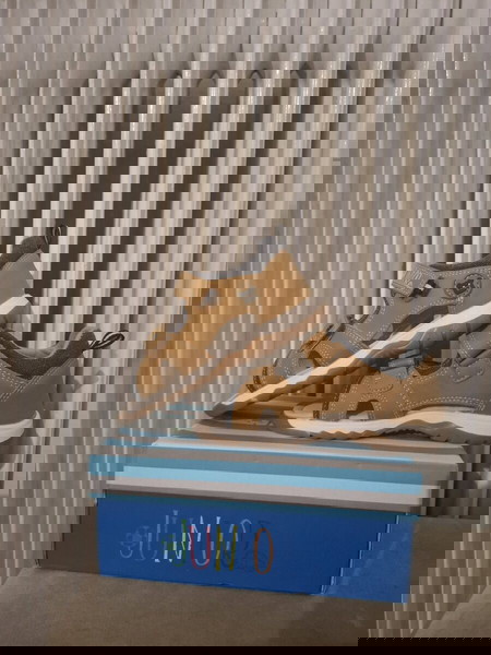 Πέδιλα αγοριού