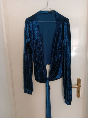Cameo Rose Velvet Blue Blouse Like New
