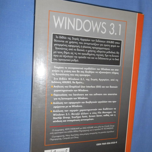 Windows 3.1 computer book like new, 2nd edition