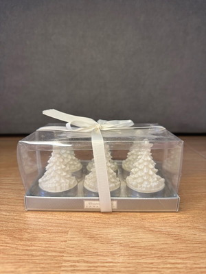 Zara Home Christmas candles new